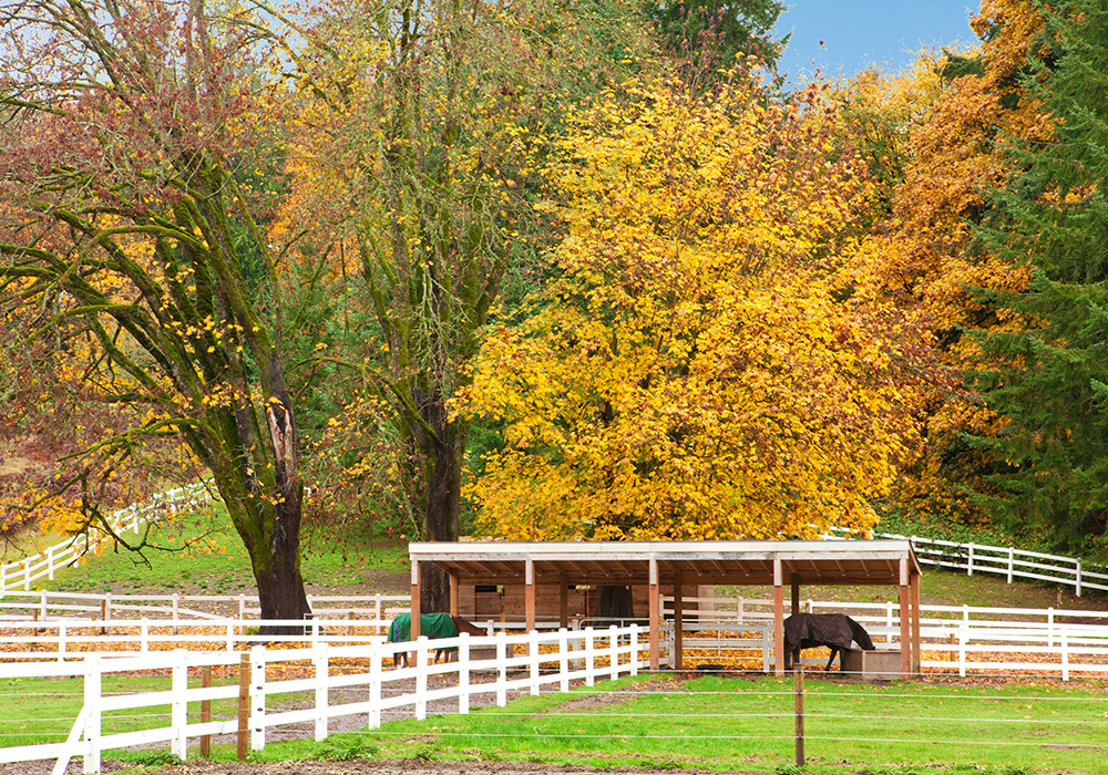 Fall Prep Your Farm or Ranch