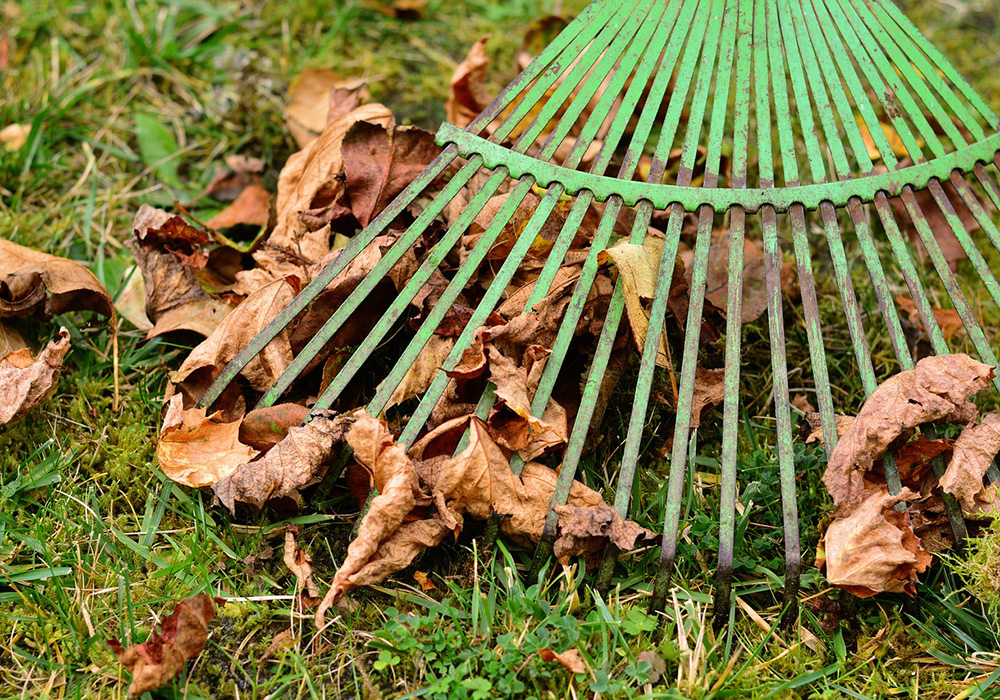 Taking Care of Your Backyard During the Changing Autumn Months