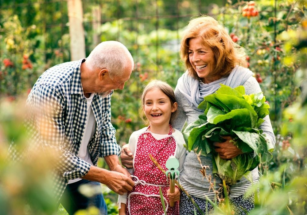 Start a Spring Garden With Your Family to Improve Your Collective Health