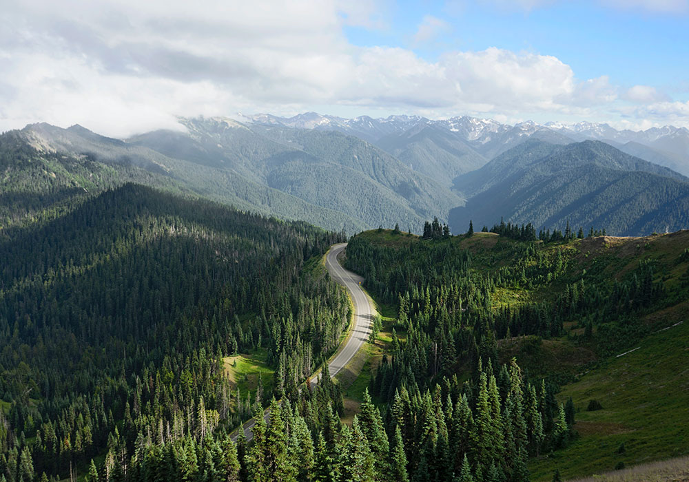 Road Trips in the Pacific Northwest that Won’t Shock Your Odometer
