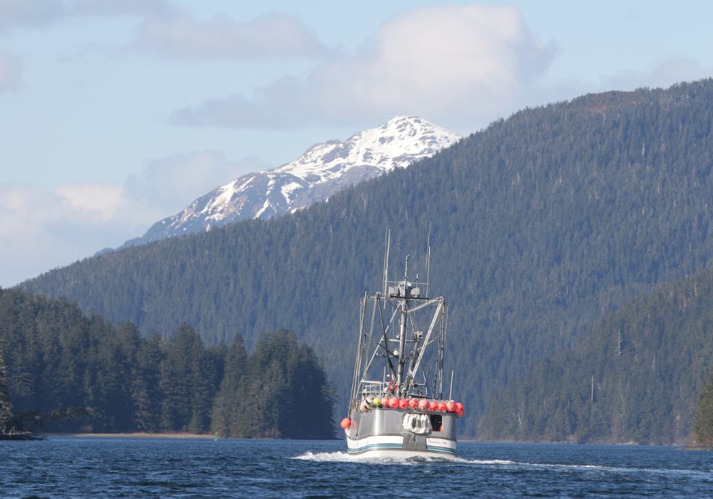 The Impact of Environmental Regulations on Alaska Commercial Fishing: How Insurance Can Help