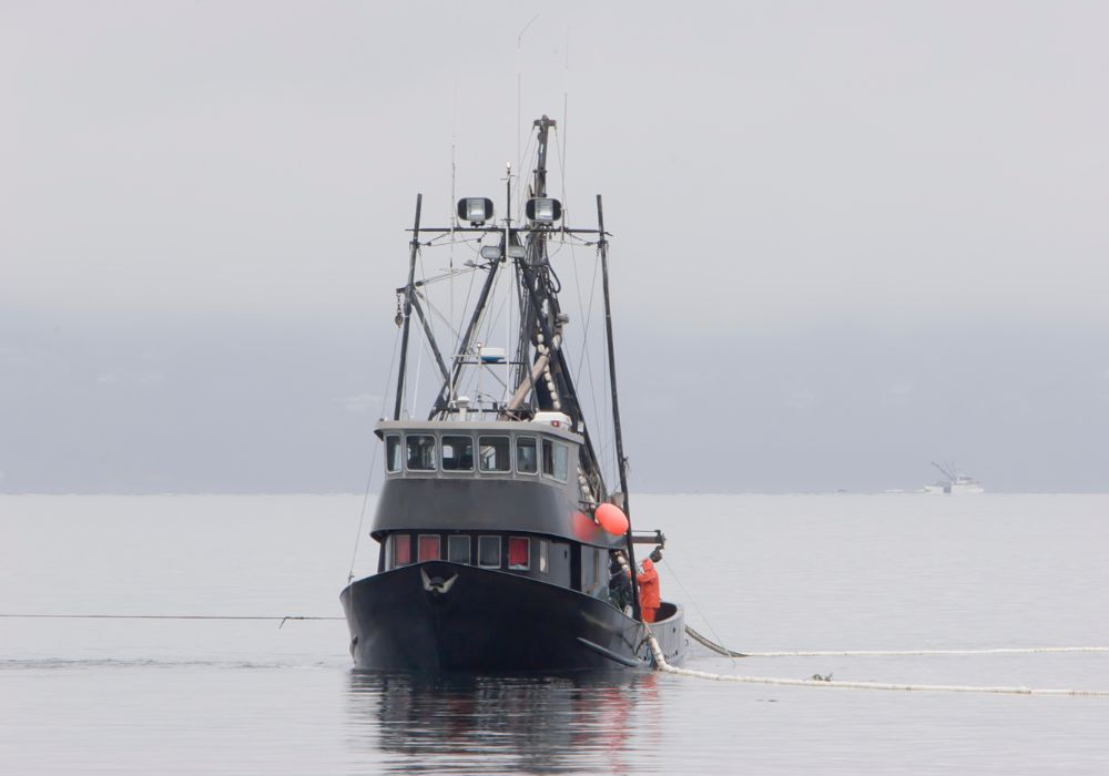 Sustainability, Technology & Fishing: How Innovation is Changing Risk on the Water