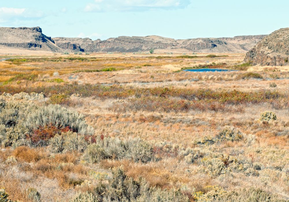 Is Washington an Insurance Desert?