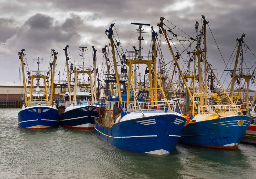 The True Cost of Being Underinsured on the Water