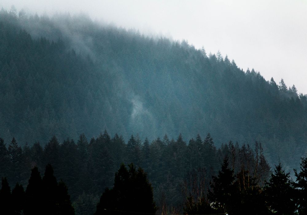 Wildfire Smoke Is Becoming a Summer Tradition. Is Your Insurance Ready?